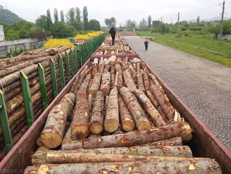 Де придбати паливну деревину в Україні